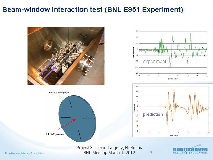 Beam-window interaction test (BNL E 951 Experiment) experiment prediction Project X - Kaon Targetry,