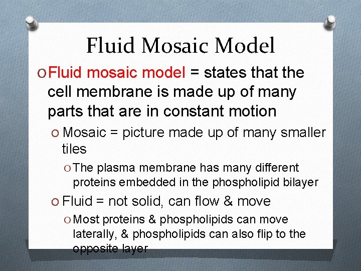 Fluid Mosaic Model O Fluid mosaic model = states that the cell membrane is