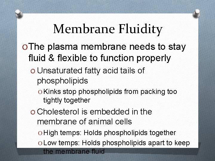 Membrane Fluidity O The plasma membrane needs to stay fluid & flexible to function