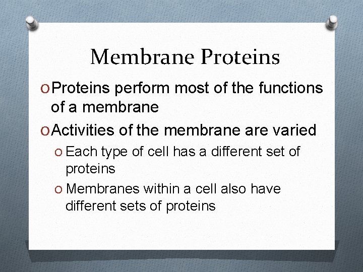 Membrane Proteins O Proteins perform most of the functions of a membrane O Activities