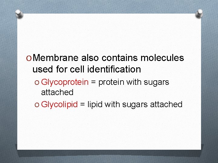 O Membrane also contains molecules used for cell identification O Glycoprotein = protein with