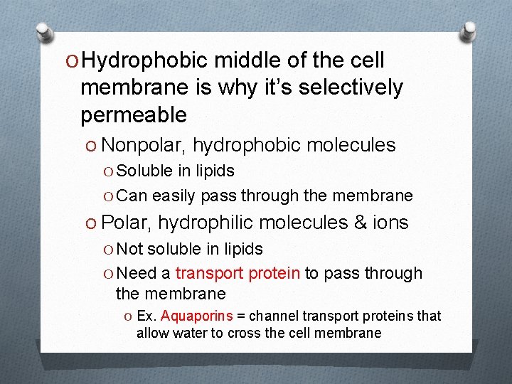 O Hydrophobic middle of the cell membrane is why it’s selectively permeable O Nonpolar,