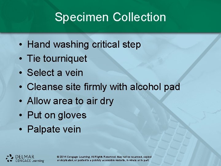 Specimen Collection • • Hand washing critical step Tie tourniquet Select a vein Cleanse