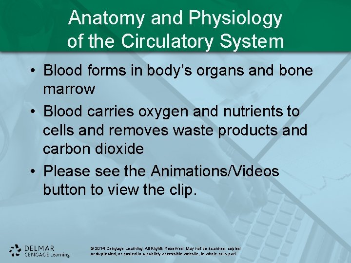 Anatomy and Physiology of the Circulatory System • Blood forms in body’s organs and