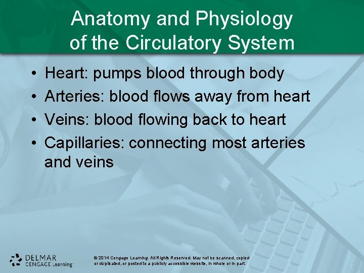 Anatomy and Physiology of the Circulatory System • • Heart: pumps blood through body