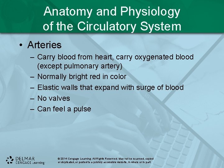 Anatomy and Physiology of the Circulatory System • Arteries – Carry blood from heart,