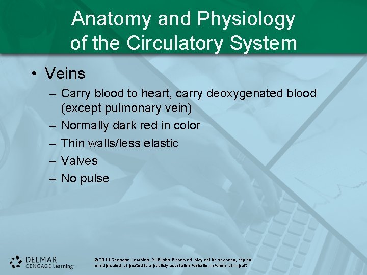 Anatomy and Physiology of the Circulatory System • Veins – Carry blood to heart,