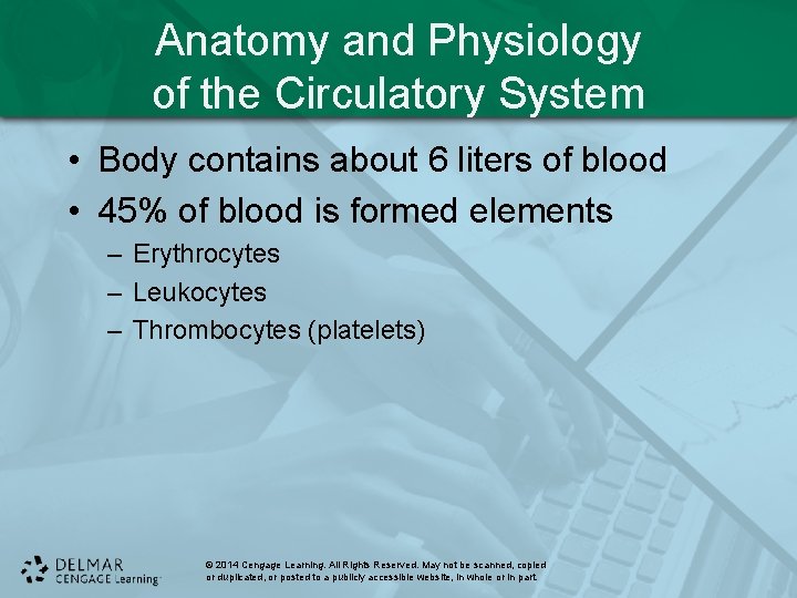 Anatomy and Physiology of the Circulatory System • Body contains about 6 liters of