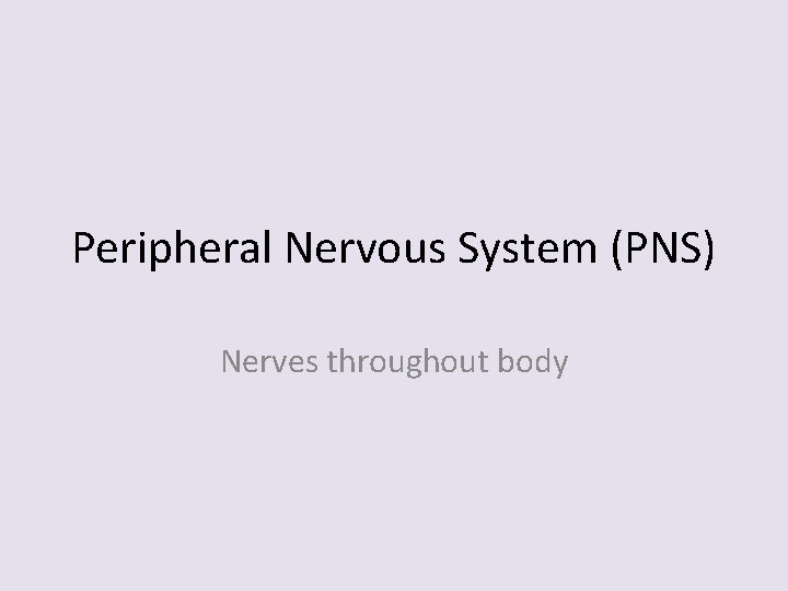 Peripheral Nervous System (PNS) Nerves throughout body 