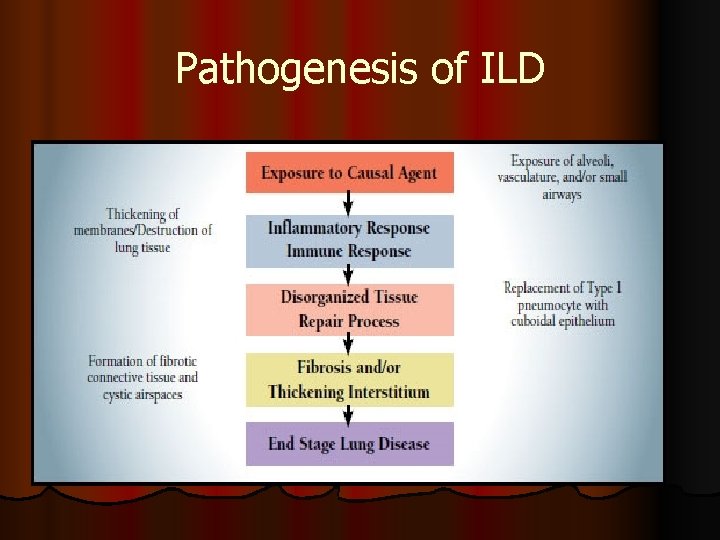 Pathogenesis of ILD 