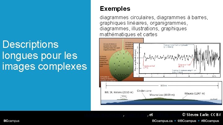 Exemples diagrammes circulaires, diagrammes à barres, graphiques linéaires, organigrammes, diagrammes, illustrations, graphiques mathématiques et