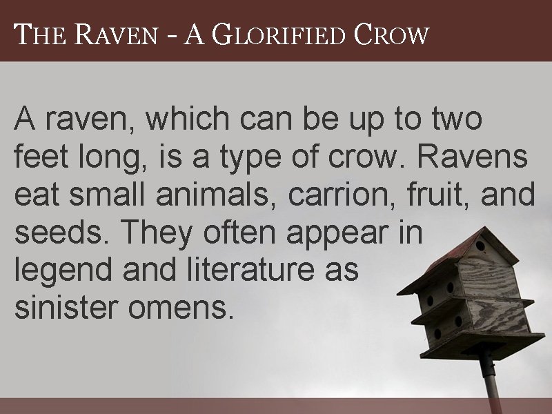 THE RAVEN - A GLORIFIED CROW A raven, which can be up to two