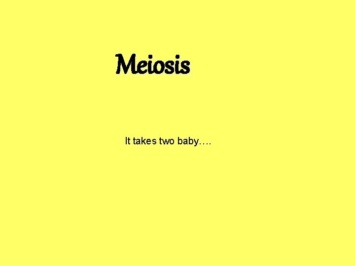 Meiosis It takes two baby…. 