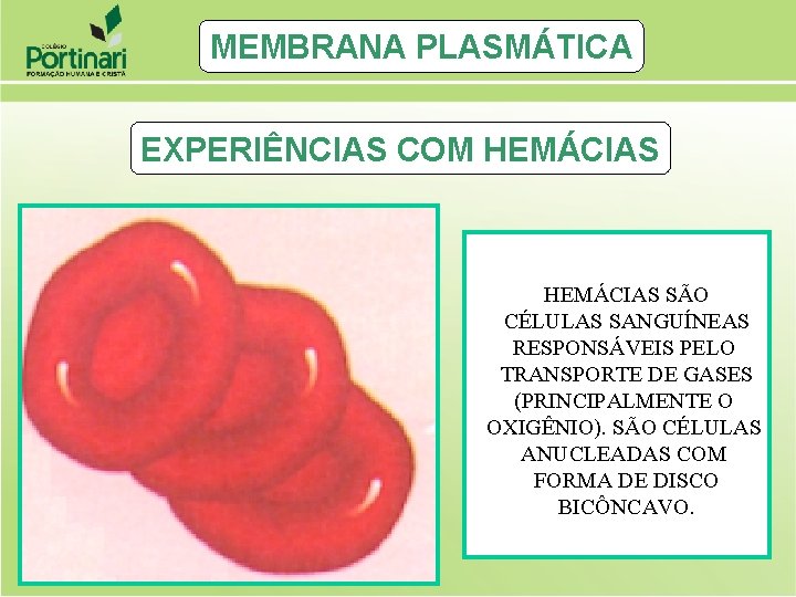 MEMBRANA PLASMÁTICA EXPERIÊNCIAS COM HEMÁCIAS SÃO CÉLULAS SANGUÍNEAS RESPONSÁVEIS PELO TRANSPORTE DE GASES (PRINCIPALMENTE