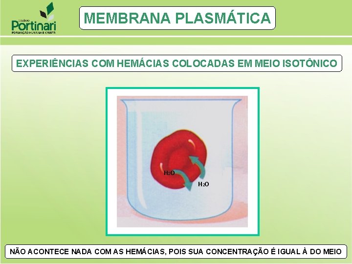 MEMBRANA PLASMÁTICA EXPERIÊNCIAS COM HEMÁCIAS COLOCADAS EM MEIO ISOTÔNICO H 2 O NÃO ACONTECE