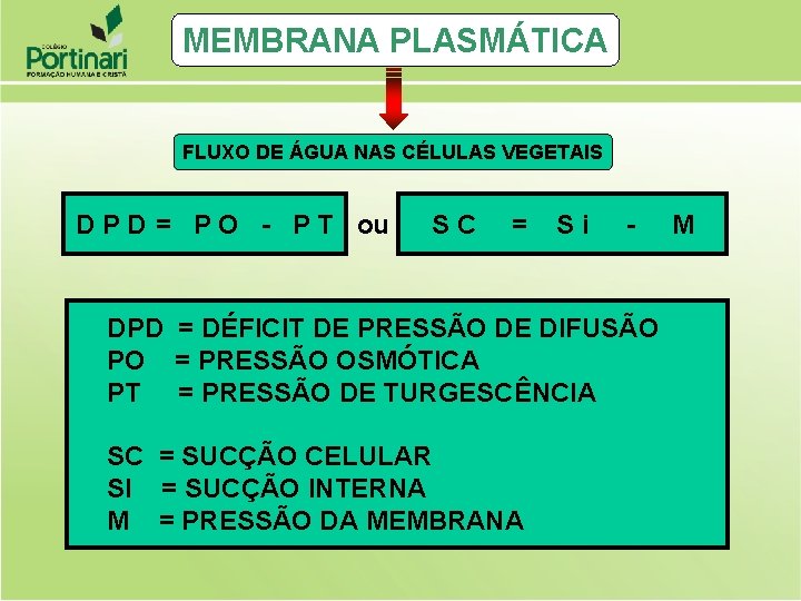 MEMBRANA PLASMÁTICA FLUXO DE ÁGUA NAS CÉLULAS VEGETAIS D P D = P O MEMBRANA PLASMÁTICA FLUXO DE ÁGUA NAS CÉLULAS VEGETAIS D P D = P O