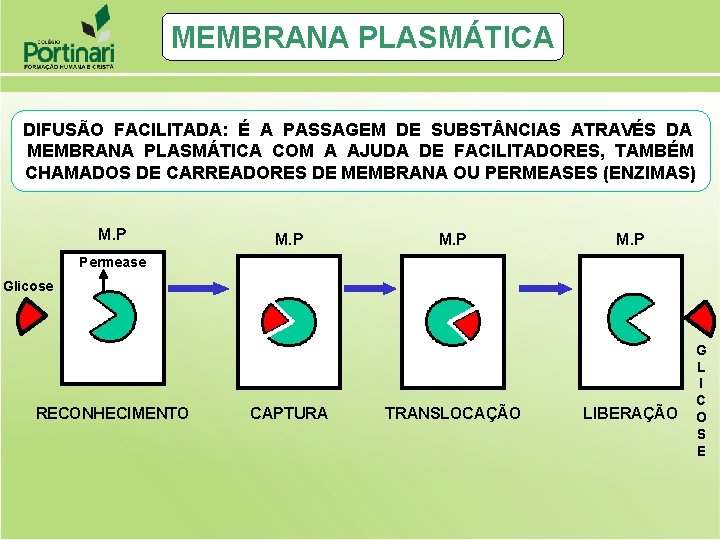 MEMBRANA PLASMÁTICA DIFUSÃO FACILITADA: É A PASSAGEM DE SUBST NCIAS ATRAVÉS DA MEMBRANA PLASMÁTICA