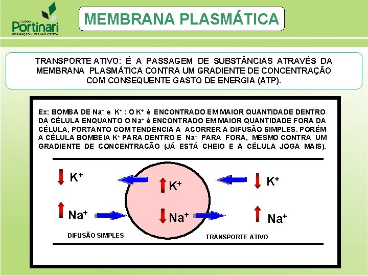 MEMBRANA PLASMÁTICA TRANSPORTE ATIVO: É A PASSAGEM DE SUBST NCIAS ATRAVÉS DA MEMBRANA PLASMÁTICA