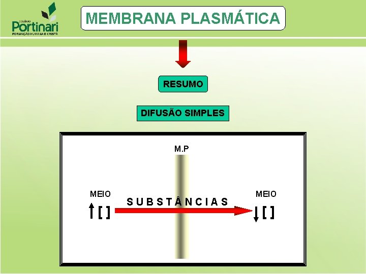 MEMBRANA PLASMÁTICA RESUMO DIFUSÃO SIMPLES M. P MEIO [] SUBST NCIAS MEIO [] 