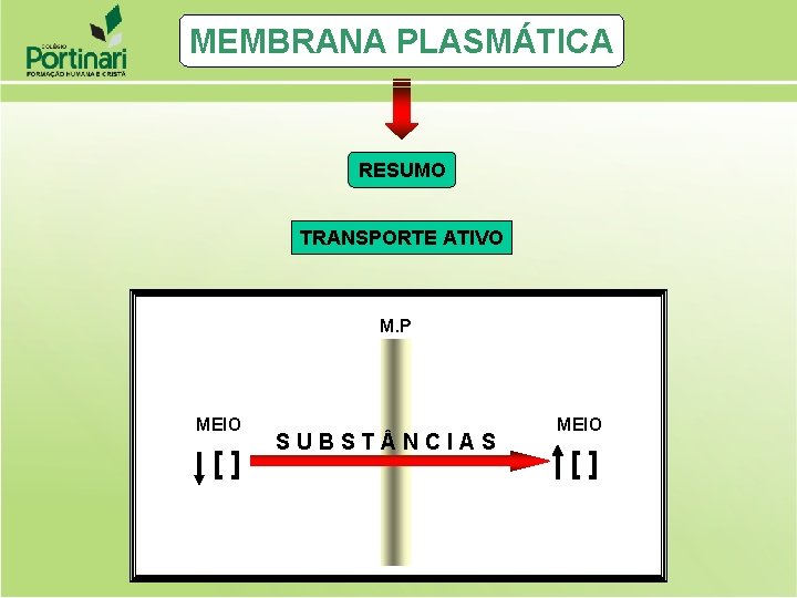 MEMBRANA PLASMÁTICA RESUMO TRANSPORTE ATIVO M. P MEIO [] SUBST NCIAS MEIO [] 