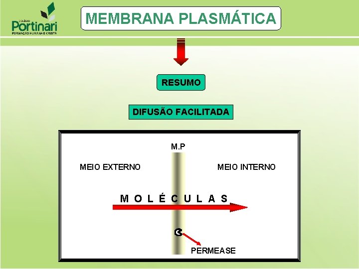 MEMBRANA PLASMÁTICA RESUMO DIFUSÃO FACILITADA M. P MEIO EXTERNO MEIO INTERNO M O L MEMBRANA PLASMÁTICA RESUMO DIFUSÃO FACILITADA M. P MEIO EXTERNO MEIO INTERNO M O L