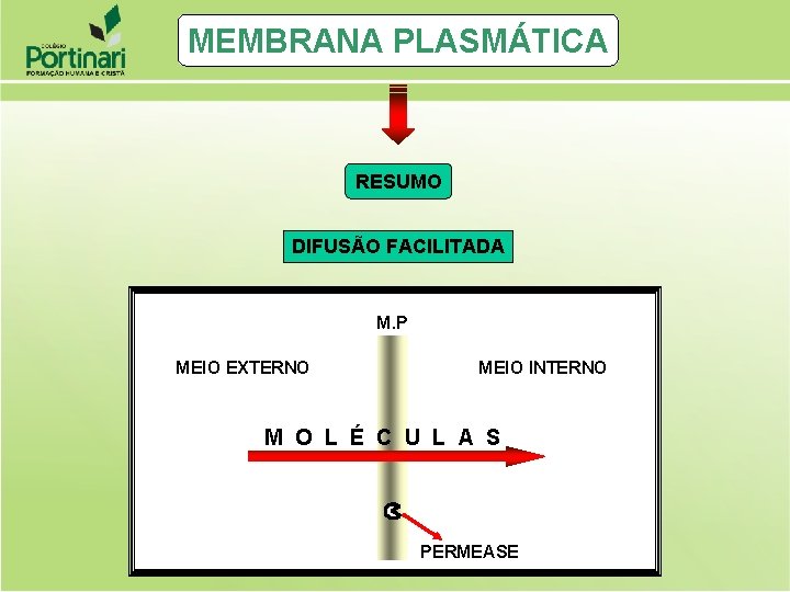 MEMBRANA PLASMÁTICA RESUMO DIFUSÃO FACILITADA M. P MEIO EXTERNO MEIO INTERNO M O L