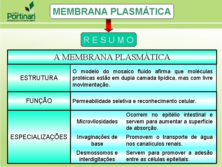 MEMBRANA PLASMÁTICA RESUMO A MEMBRANA PLASMÁTICA ESTRUTURA FUNÇÃO ESPECIALIZAÇÕES O modelo do mosaico fluido MEMBRANA PLASMÁTICA RESUMO A MEMBRANA PLASMÁTICA ESTRUTURA FUNÇÃO ESPECIALIZAÇÕES O modelo do mosaico fluido