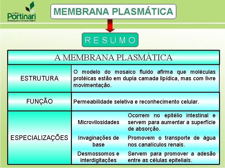 MEMBRANA PLASMÁTICA RESUMO A MEMBRANA PLASMÁTICA ESTRUTURA FUNÇÃO ESPECIALIZAÇÕES O modelo do mosaico fluido