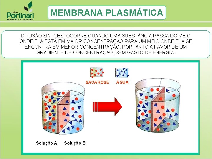 MEMBRANA PLASMÁTICA DIFUSÃO SIMPLES: OCORRE QUANDO UMA SUBST NCIA PASSA DO MEIO ONDE ELA