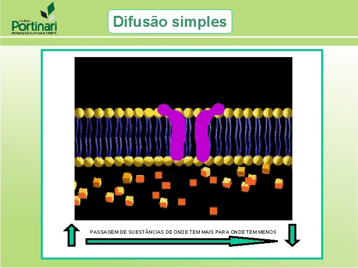 Difusão simples PASSAGEM DE SUBST NCIAS DE ONDE TEM MAIS PARA ONDE TEM MENOS