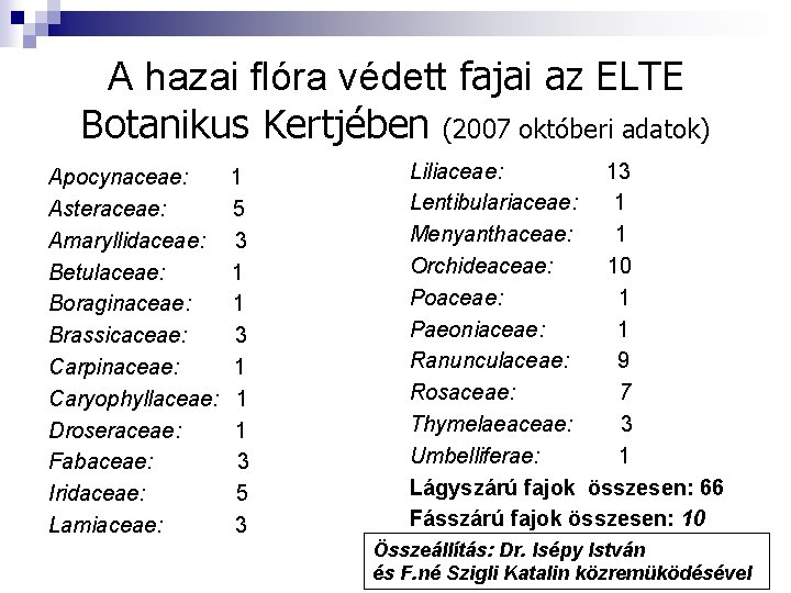 A hazai flóra védett fajai az ELTE Botanikus Kertjében (2007 októberi adatok) Apocynaceae: Asteraceae: