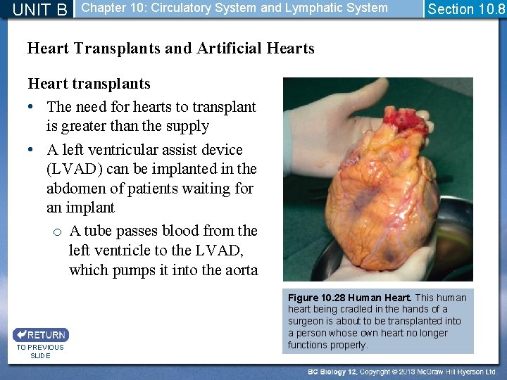UNIT B Chapter 10: Circulatory System and Lymphatic System Section 10. 8 Heart Transplants