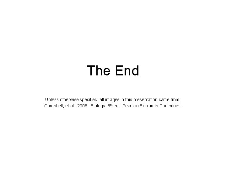 The End Unless otherwise specified, all images in this presentation came from: Campbell, et
