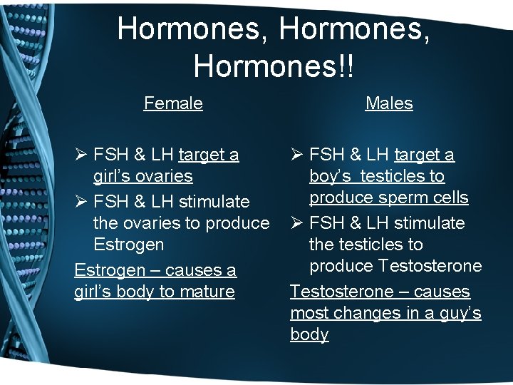 Hormones, Hormones!! Female Males Ø FSH & LH target a girl’s ovaries Ø FSH