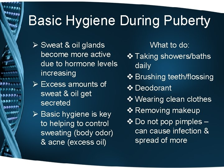 Basic Hygiene During Puberty Ø Sweat & oil glands become more active due to