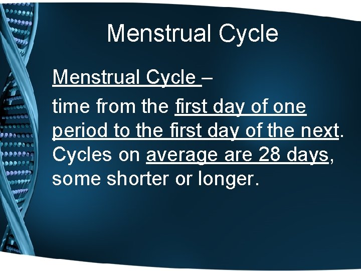 Menstrual Cycle – time from the first day of one period to the first