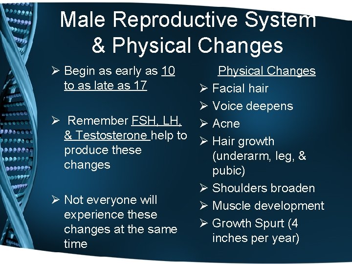 Male Reproductive System & Physical Changes Ø Begin as early as 10 to as