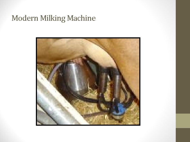 Modern Milking Machine 