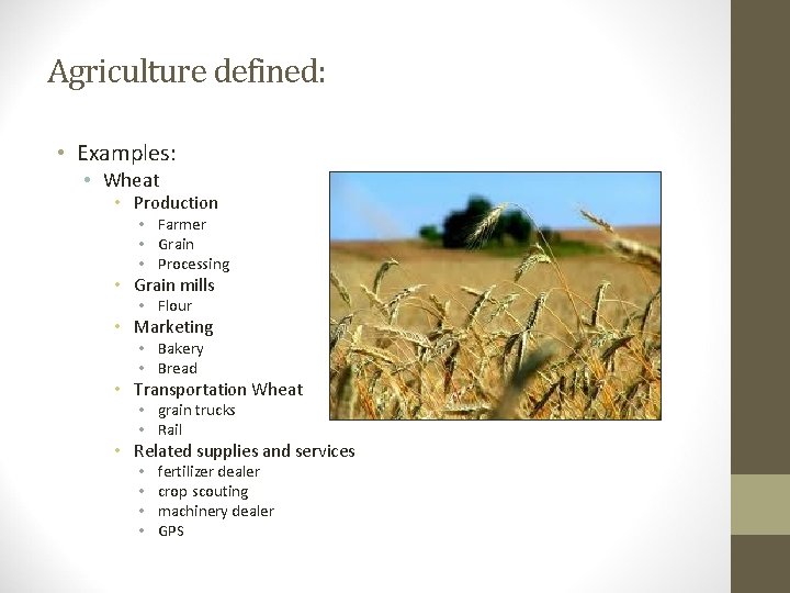 Agriculture defined: • Examples: • Wheat • Production • Farmer • Grain • Processing