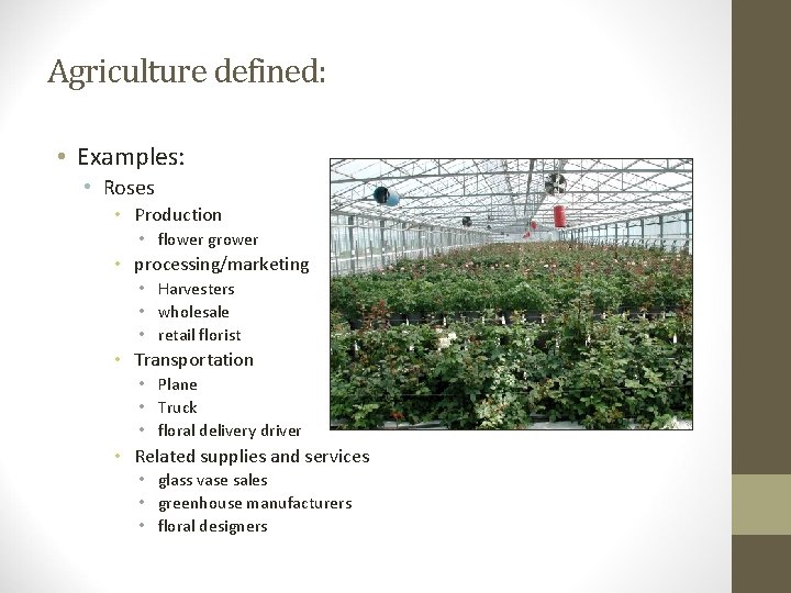 Agriculture defined: • Examples: • Roses • Production • flower grower • processing/marketing •