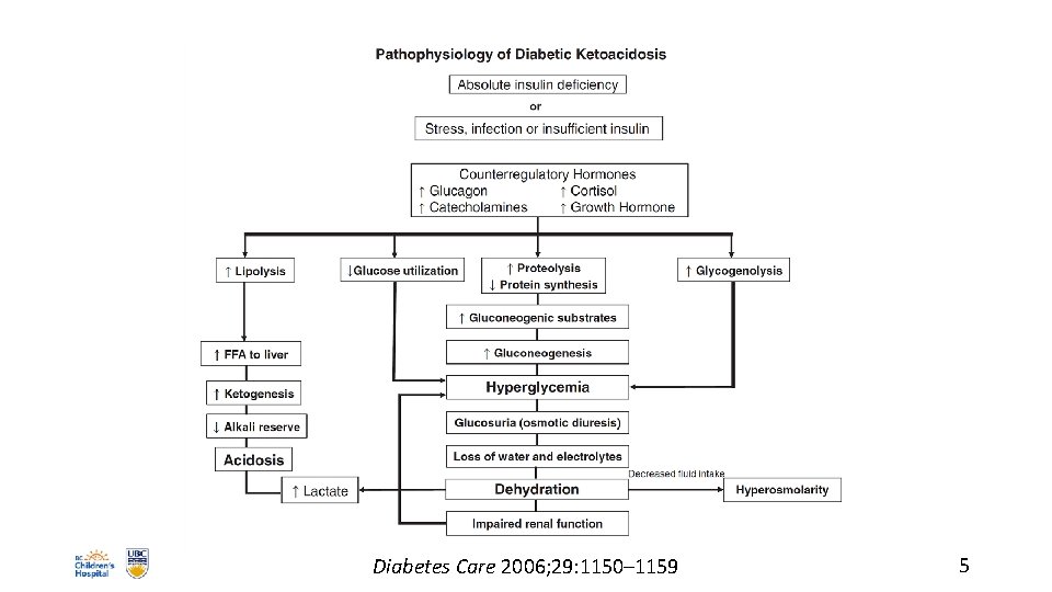 Diabetes Care 2006; 29: 1150– 1159 5 