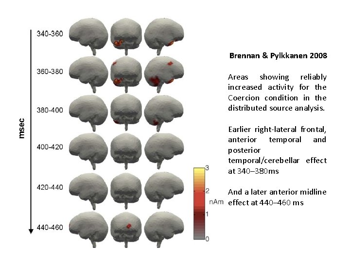 MEG Brennan & Pylkkanen 2008 Areas showing reliably increased activity for the Coercion condition