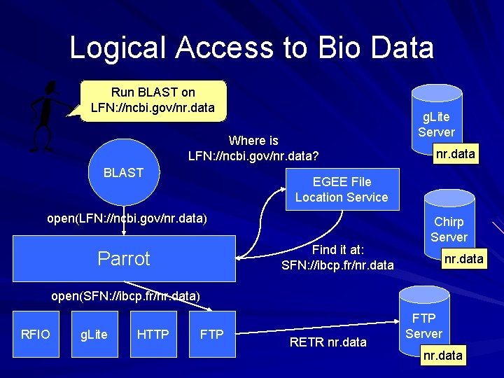 Logical Access to Bio Data Run BLAST on LFN: //ncbi. gov/nr. data Where is