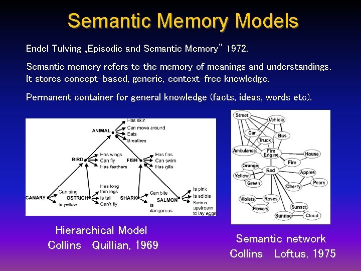 Semantic Memory Models Endel Tulving „Episodic and Semantic Memory” 1972. Semantic memory refers to Semantic Memory Models Endel Tulving „Episodic and Semantic Memory” 1972. Semantic memory refers to