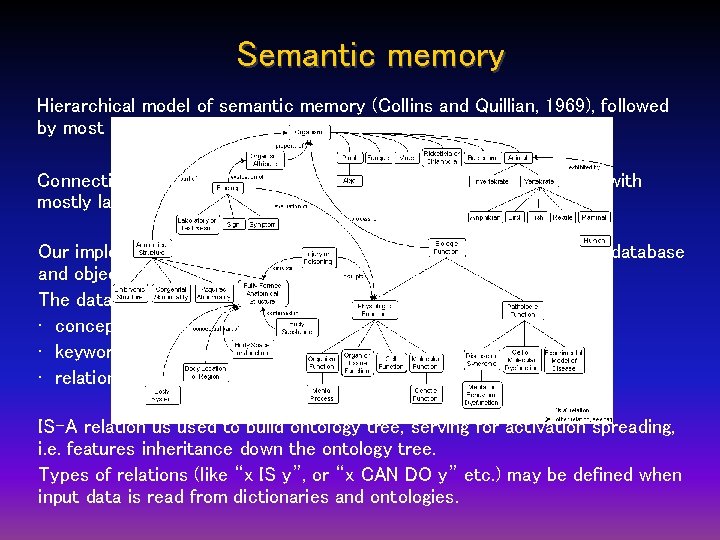 Semantic memory Hierarchical model of semantic memory (Collins and Quillian, 1969), followed by most Semantic memory Hierarchical model of semantic memory (Collins and Quillian, 1969), followed by most