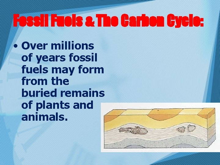 Fossil Fuels & The Carbon Cycle: • Over millions of years fossil fuels may