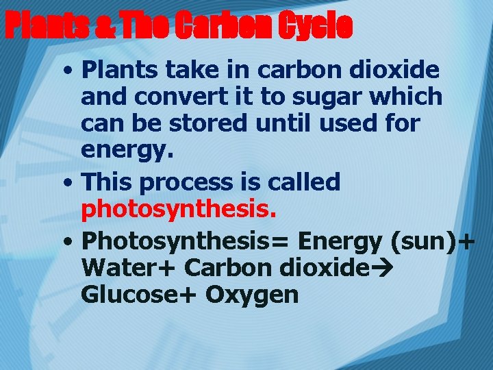 Plants & The Carbon Cycle • Plants take in carbon dioxide and convert it