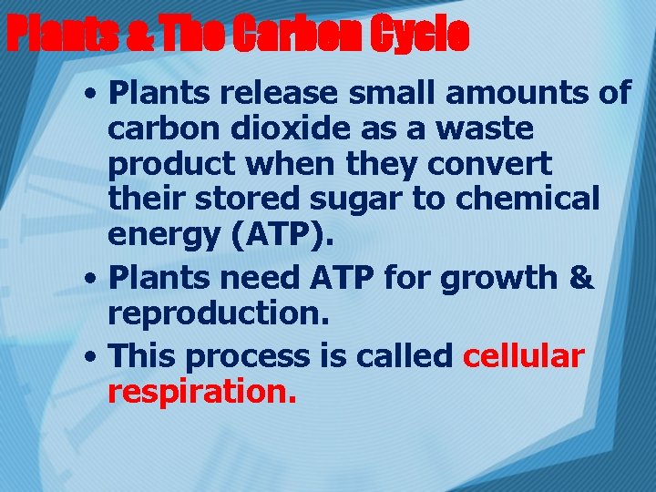 Plants & The Carbon Cycle • Plants release small amounts of carbon dioxide as