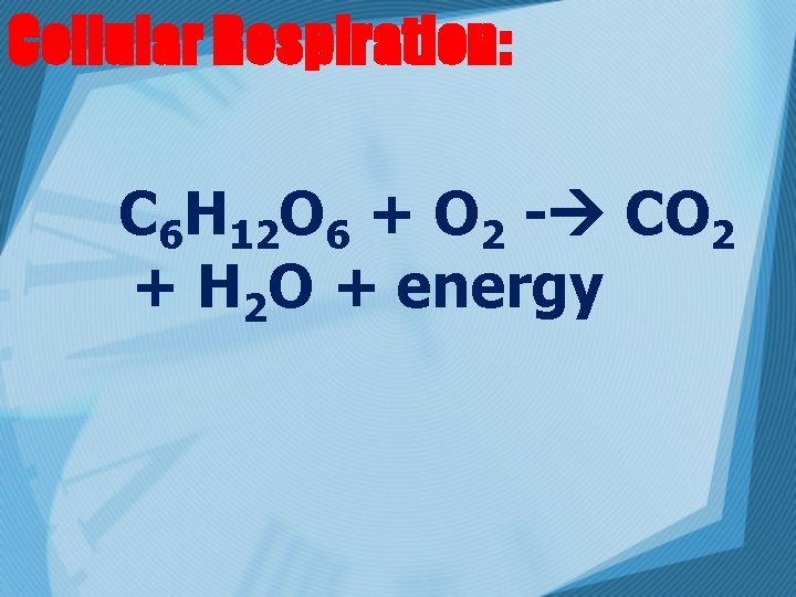 Cellular Respiration: C 6 H 12 O 6 + O 2 - CO 2