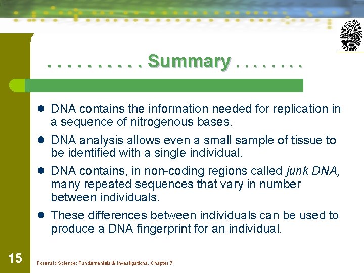 . . Summary. . . . l DNA contains the information needed for replication